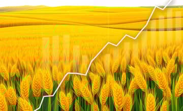 A Arte de Investir em Fundos de Commodities Agrícolas para Lucros Crescentes