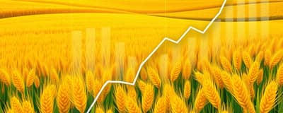 A Arte de Investir em Fundos de Commodities Agrícolas para Lucros Crescentes