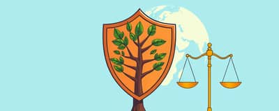 Liberdade e Proteção: A Dupla Perfeita para Seus Ativos